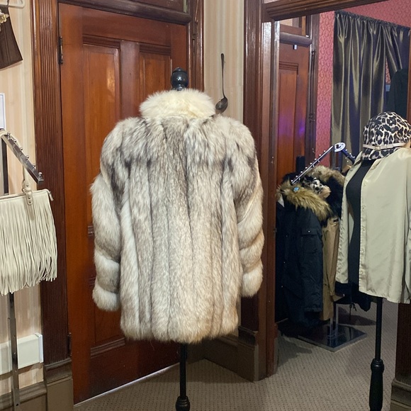 Saga Fox - Picture 4 of 5